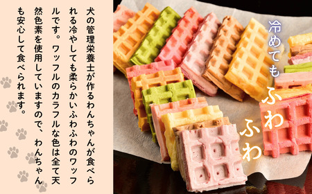 【冷凍】 わんちゃんが食べられる 「虹色 ワッフル」 10個セット （Ac-008） 長野県 飯山市 おすすめ ランキング おいしい 高評価 大人気 ギフト ペットフード ドッグフード