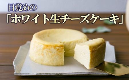 ケーキ テリーヌ ご自宅用簡易包装 アマイオトのごほうび 5ヶ月定期便