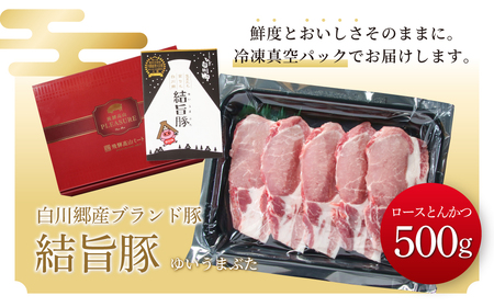 結旨豚 ロース とんかつ 500g 冷凍真空パック | 肉 お肉 豚肉 国産 白川郷 岐阜県 白川村 ブランド豚 人気 おすすめ ギフト 8000円 飛騨高山ミート [MS002]