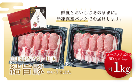 結旨豚 ロース とんかつ 500g×2パック 計1kg 冷凍真空パック | 肉 お肉 豚肉 国産 白川郷 岐阜県 白川村 ブランド豚 人気 おすすめ ギフト 11000円 飛騨高山ミート [MS007]