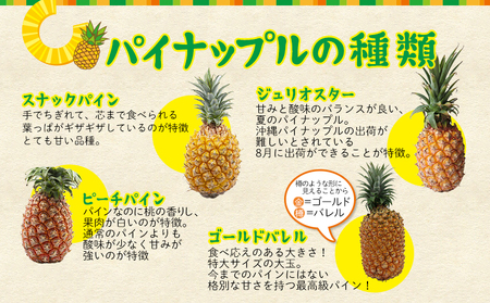 パイン【2026年発送】先行予約 かりゆしゴールド 1玉（約1.5kg～1.9kg） パイナップル