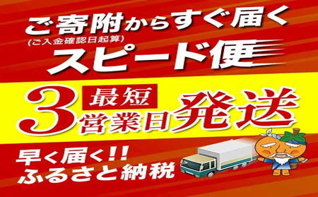 【最短3日発送】 うなぎ 蒲焼き 5尾｜鰻 国産