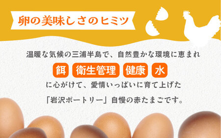餌にこだわった三浦半島産赤たまご　50個　【横須賀商工会議所　おもてなしギフト事務局（岩沢ポートリー）】[AKET005]