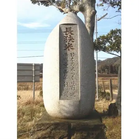 令和7年産 精米 長狭米コシヒカリ＆粒すけ各5kgセット【1578286】