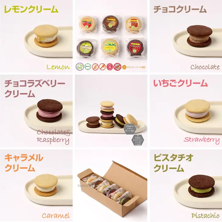 グルテンフリー ヴィーガン 米粉クッキー&RAW クリームセット サンテカフェまる B110-024