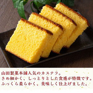 n310 カステラ 4切れ × 3パック 種子島 郷土 【山田製菓本舗】