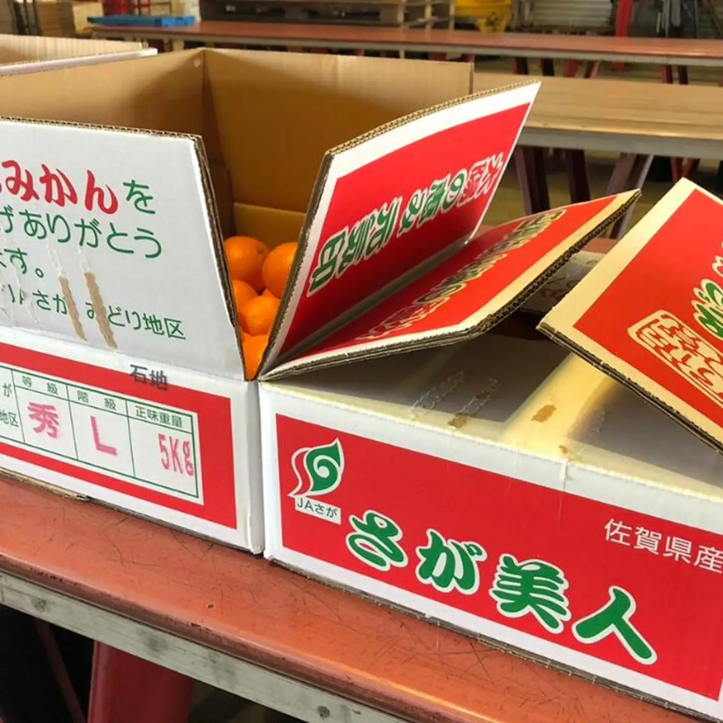 佐賀みかん さが美人 フルーツ 果物 期間限定 みかん ブランドみかん 温州みかん 贈答 贈り物 お歳暮 ダイニング佐賀：B175-009