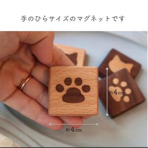 猫のクッキーマグネット　４種セット