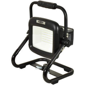 着脱式チャージライトLIFE 30W (BAT-LI30RE) [0903]