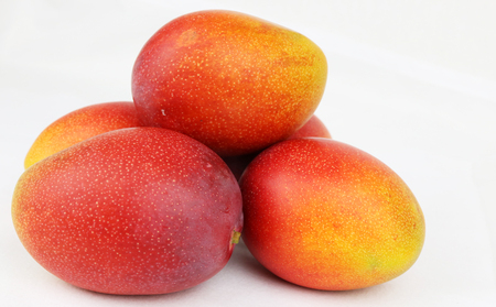 マンゴー【2026年発送】濃密マンゴー《優品・約1kg》