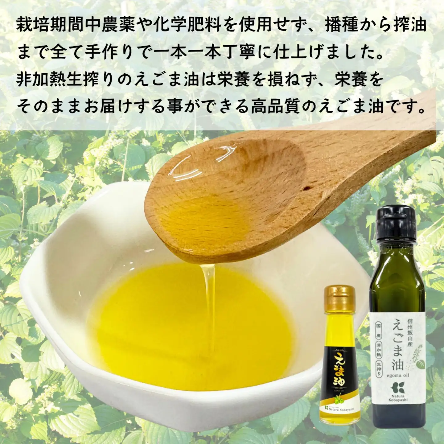 えごま油 えごま粉セット 低温圧搾（Af-005） 