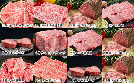 【12ヶ月連続 定期便】ヒレステーキと季節の佐賀牛 希少ヒレステーキ 定期便ヒレステーキ ヒレ ヒレステーキ N2000-3