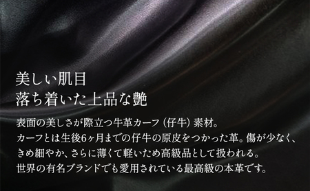 ビジネスシューズ 革靴 6cmアップ シークレットシューズ メンズ ヨーロピアンカーフ 本革 紳士靴 日本製 ストレートチップ 内羽根 紐 レースアップ 牛革 No.CA1301 ブラック BN002 24.5cm
