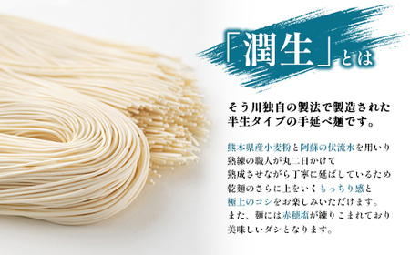 潤生「人気の定番麺」セット12食入り - うどん そば そうめん 饂飩 蕎麦 素麺 麺類 国産 九州産 小麦 つゆ付 国産小麦 手延べ てのべ 潤い 早茹で 再熟成 こだわり もっちり食感 簡単 煮込むだけ 常温保存可能 人気 おすすめ 熊本県 甲佐町 肥後そう川
