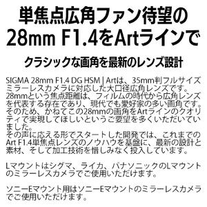 SIGMA 28mm F1.4 DG HSM | Art【ソニーEマウント】（数量限定）