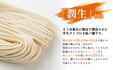 潤生うどん８食入り - 麺 800g 饂飩 国産小麦 麺類 乾麺 早茹で つゆ付 つるつる もちもち 潤い 再熟成 こだわり 製法 ざるうどん 冬 温うどん 一年中 楽しめる 人気 おすすめ 熊本県 甲佐町 肥後そう川