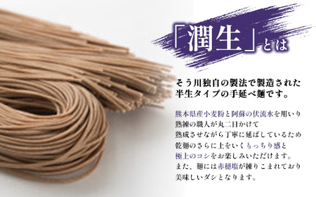 潤生そば８食入り - 8食 800g 蕎麦 ソバ 乾麺 そば つゆ付 つるつる もちもち 麺 夏 ざるそば 冬 温そば 一年中 楽しめる 人気 おすすめ 熊本県 甲佐町 肥後そう川