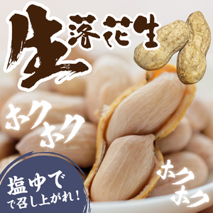 【先行予約】北海道十勝芽室町 生落花生（洗い）1kg me010-017c