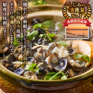 漁師直送！宍道湖産ヤマトシジミ・Mサイズ冷凍2.4kg