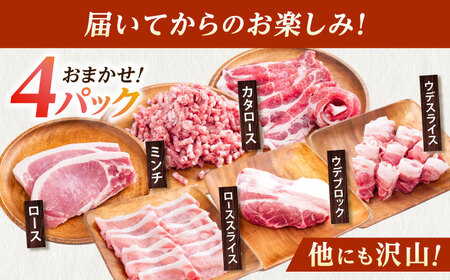 豚肉 うつみ潮風豚 精肉おまかせ4パックセット（1P/180g-280g）[BABT002] 豚肉