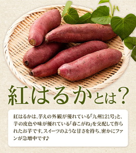 訳あり 紅はるか 約5kg 2S～3L混合 株式会社Foody’s 《90日以内に発送予定（土日祝を除く）》熊本県 菊池市 訳あり さつまいも 芋 紅蜜芋 焼き芋 野菜 菊池市産 熊本県産 九州産