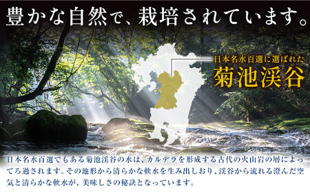 熊本県菊池産 玄米 10kg お米 ヴァリアス株式会社《30日以内に出荷予定(土日祝除く)》 菊池市産 熊本県産 九州産 送料無料
