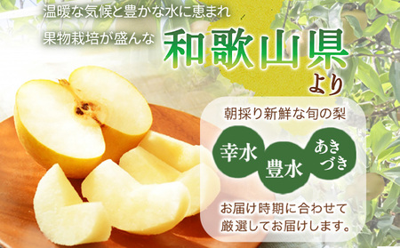 梨 紀州和歌山県産の梨 約2kg
