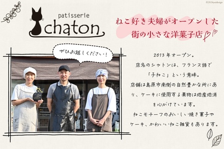 BI186 スフレ チョコケーキ 2個 セット [ 長崎県 島原市 ]