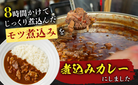 鳥市Kitchen特製 こだわり の 煮込みカレー 5個セット T065-001 惣菜 総菜 加工食品