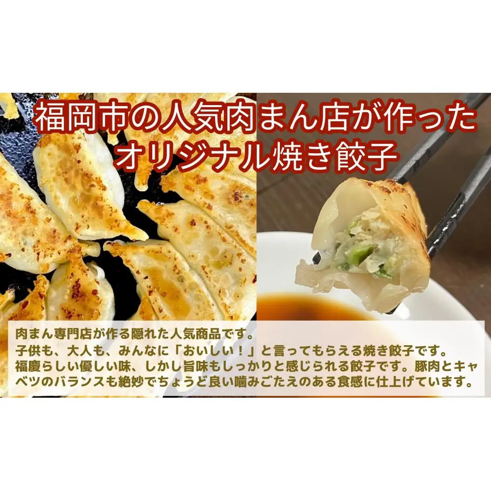 餃子 蒋さんの焼き餃子 96個入（12個×8パック） | 冷凍餃子 生餃子 焼き餃子 ふるさと納税餃子 手作り 小分け ぎょうざ ギョーザ ふるさと 納税 豚 肉 お取り寄せ 冷凍食品 中華惣菜 お惣菜 点心 冷凍 おかず おつまみ 惣菜 つまみ 福岡県 福岡市 九州