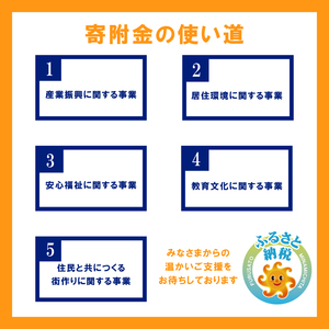 【 返礼品なしの寄附 】愛知県南知多町 応援寄附金 5,000円