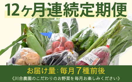 定期便 ≪12ヶ月連続お届け≫ 川合農園もっちゃん季節のお野菜お届け箱 ～季節の野菜や果実を毎月7品種前後お届けします！～ 【野菜 やさい 野菜セット 詰め合わせ おまかせ 新鮮 旬 定期便 12回 産地直送】 [K-7501]