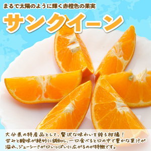 サンクイーンジャム(3個) フルーツ 果物 柑橘 ジャム 大分県産 特産品 大分県 佐伯市 防災 常温 常温保存 【DT12】【全国農業協同組合連合会大分県本部】