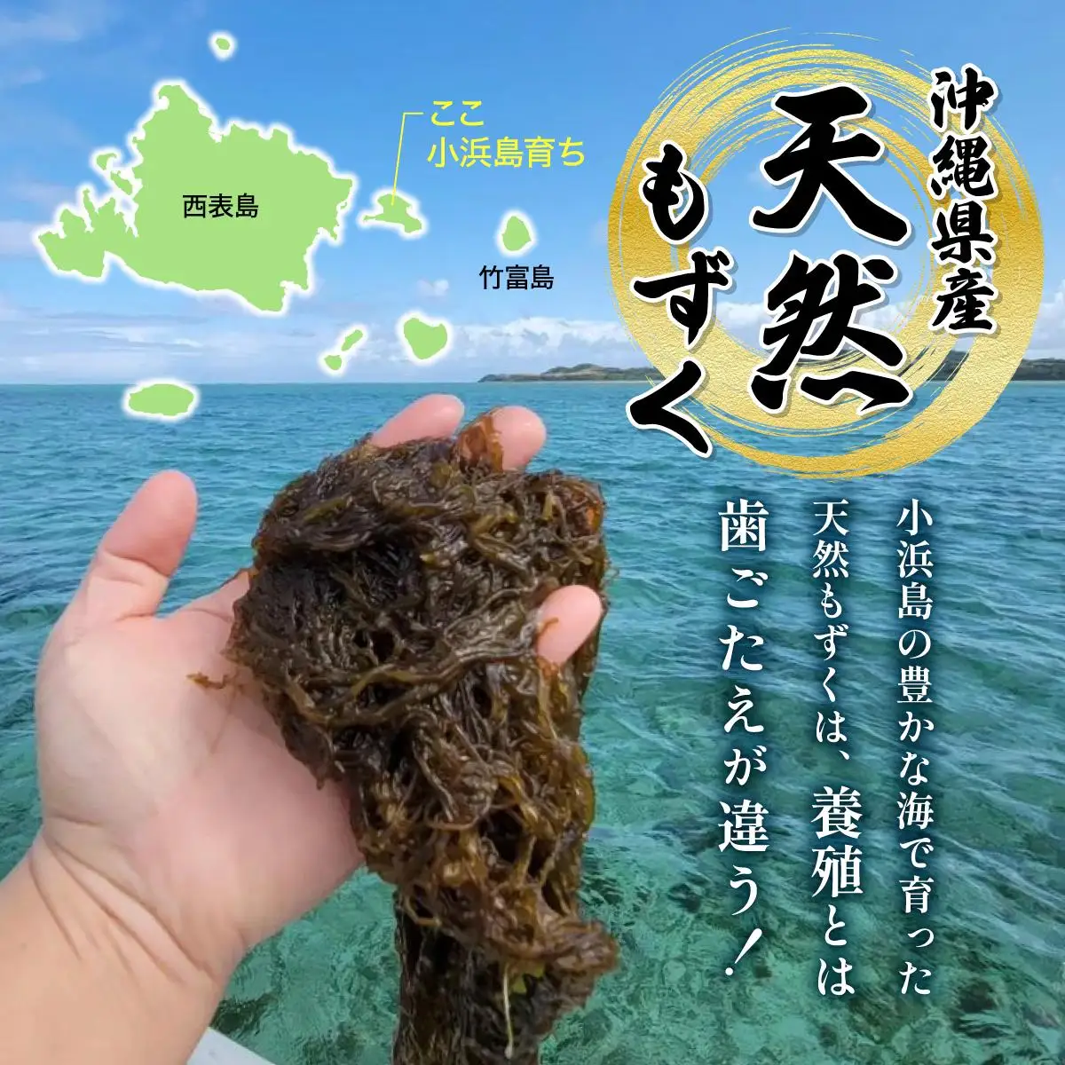 もずく（塩蔵）