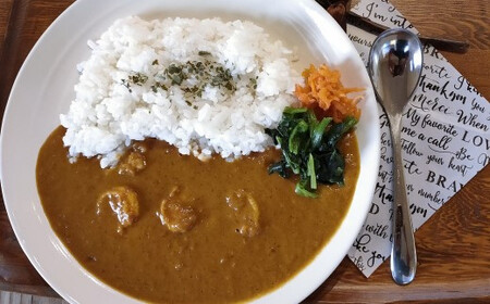 めっちゃ!! エビ カレー（ 黒潮町産 天日塩 使用） 5食〔冷凍〕［1637-2］