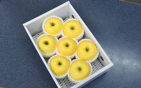 《先行予約2026年度発送》 りんご はるか 2kg(5～8玉) 秀品 果物 フルーツ FSY-1391