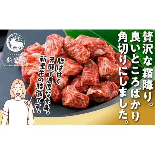 石垣島産 黒毛和牛 新里牛 　煮込み用贅沢角切り（500g×1） 500g カレー シチュー SZ-45