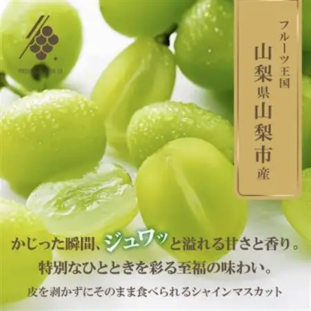 【2026年発送】 シャインマスカット 1房(約500g～600g) 【訳あり】【配送不可地域：離島・沖縄県】【1579990】