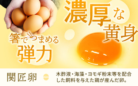 【定期便3か月】関匠卵　ひびき+アローカナハーフセット（計20個×3か月）｜卵 赤玉 アローカナ 青玉 セット 食べ比べ 詰合せ ギフト 贈答 プレゼント 栄養 生みたて 新鮮 生卵 数量限定 関養鶏場 茨城県 古河市 ※北海道・沖縄・離島への配送不可 _CP07