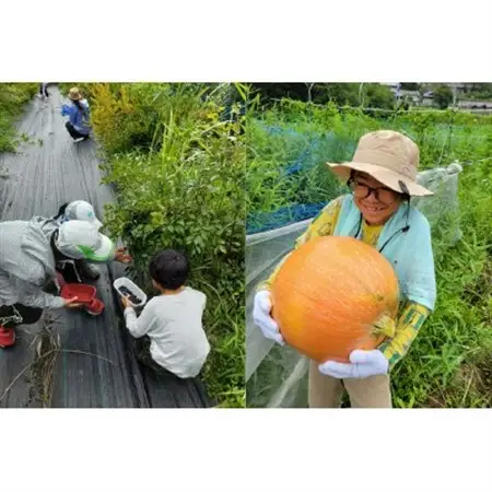 『とちはら山空の家』自然遊び一日体験チケット　1枚(1名様分)【1573792】