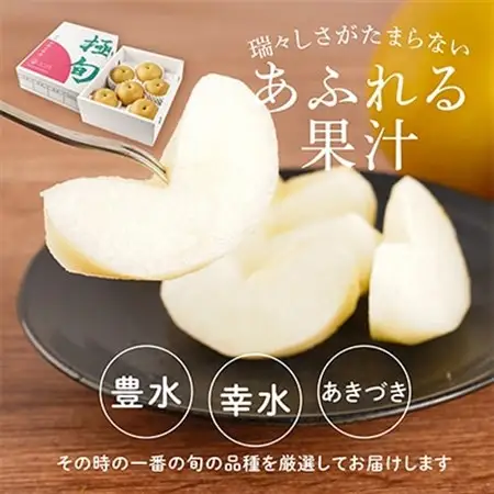 先行予約!　旬の梨　極上秀品(中玉～大玉)6～8個入り　2026年8月中旬頃から発送【配送不可地域：離島】【1576603】