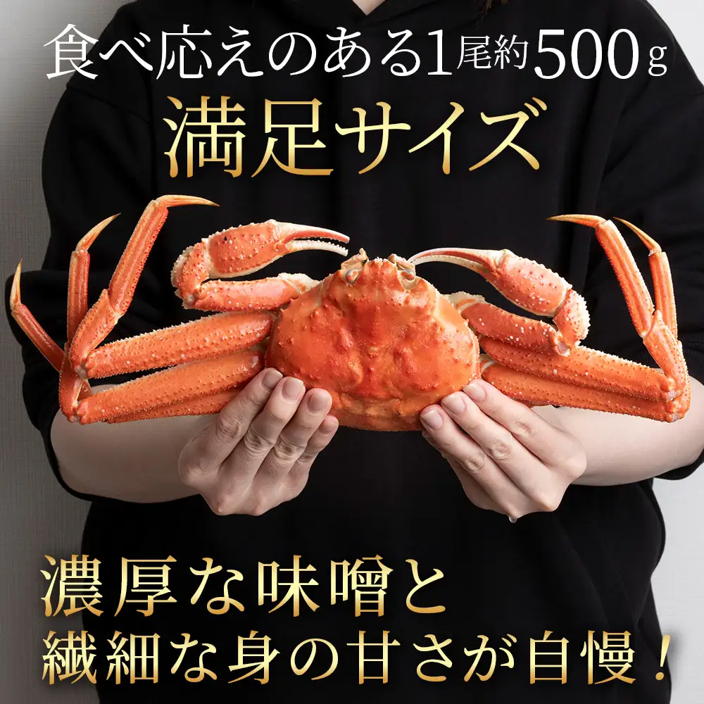 北海道産 オオズワイガニ＜特大＞500g×2尾〈小田切水産〉 AM164