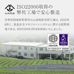 ymsr009　水出し可能 煎茶 ティーバッグ(10g×100)1袋 【 ティーバッグ 】