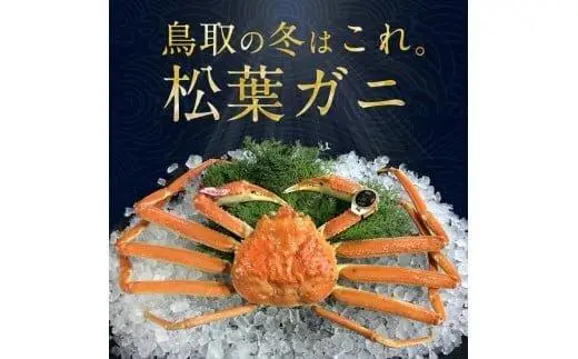 【ボイル】鳥取ブランド　松葉ガニ　『五輝星』   | 松葉 カニ 訳あり活 特大 美味しさに 訳あり 不揃い でないたっぷり　※2026年11月上旬～2027年3月下旬頃に順次発送予定　※着日指定不可