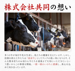 熊本県産 牛小間スライス 220g×10パック 合計2.2kg 《90日以内に出荷予定(土日祝除く)》牛肉 牛小間 牛こま スライス済み 小分け 熊本県産 九州産 国産 冷凍 送料無料