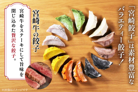 餃子 宮崎牛の餃子 15個入 ×4p 計 60個 [餃子の里 宮崎県 日向市 452061059]
