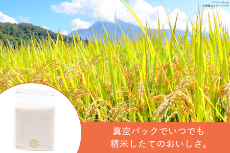 一分づき 玄米 2kg 【真空包装】[お米食堂 富山県 舟橋村 57050239]
