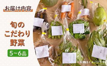 旬の野菜セット　5品～6品　野菜 野菜詰め合わせ おまかせ 新鮮 旬の野菜 愛知県 豊橋市