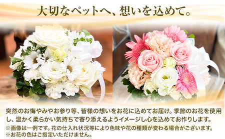 ★3ヶ月定期便★ 花 椿原園 ペット用 お供え アレンジメント 1個 フラワーアレンジメント 《お申込み月の翌月から出荷開始》 熊本県 荒尾市 生花 お供え 花 お供え用 犬用 猫用 犬 猫 ペット