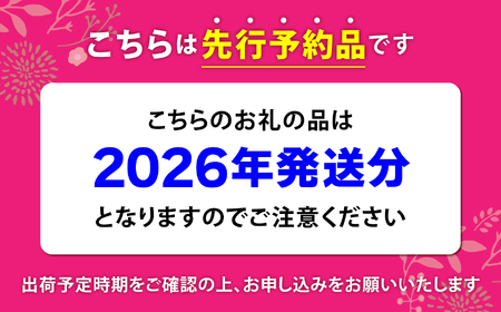桃 【先行予約】大きいサイズ3玉(約1kg)  桃